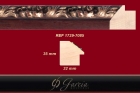 1729-70855